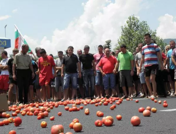 Зеленчукопроизводителите от Благоевградско ще подновят протеста си