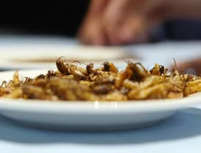 2 млрд. души се прехранват с насекоми