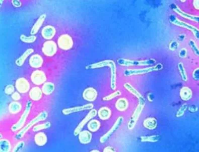 Над 5% от варненци са носители на вируса на Хепатит Б и С