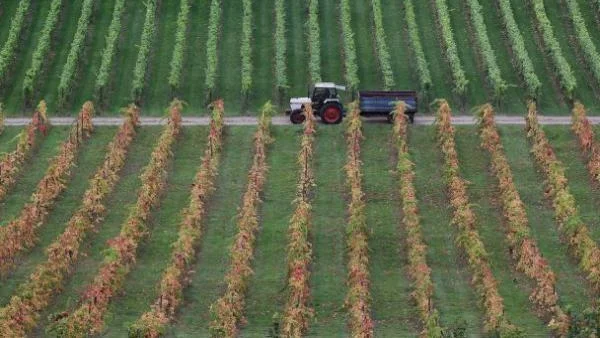 Сто милиона тона плодородна почва губим на година
