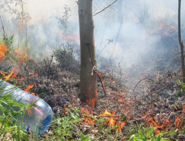 Пожарът край Мурсалево е овладян