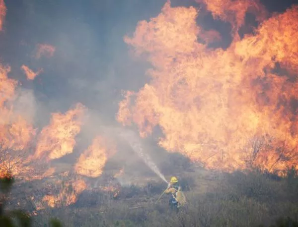 Пожарът край Хасково е локализиран