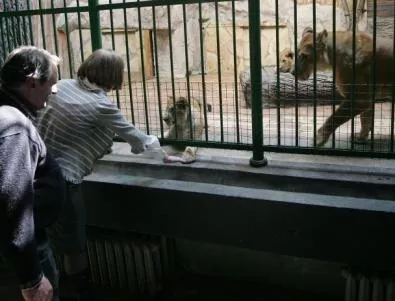 Коста Рика затваря зоопарковете си