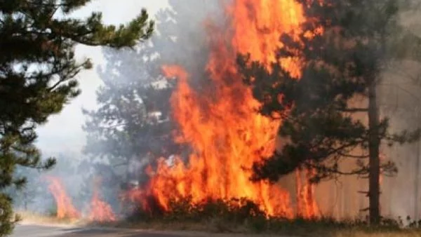 Пожар гори между варненски села, няма опасност за населението