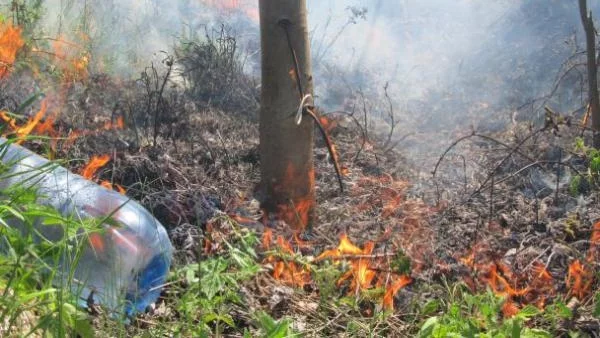 Пожарите в Змейово и Пъстрово са загасени