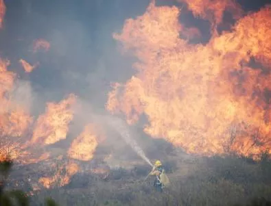 Над 800 дка вече е засегнатата горска площ в пожара край Свиленград