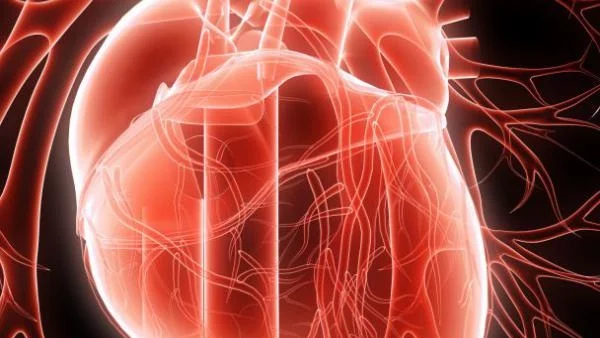 Нова технология възстановява сърцето след инфаркт