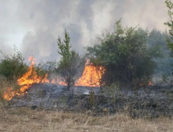 Пожарът в Елховско обхванал 1500 декара