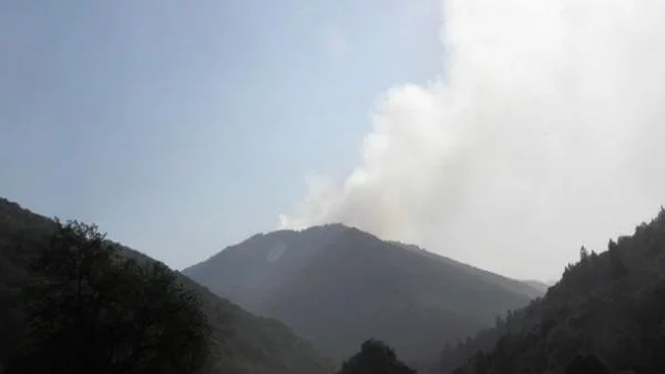 Пожарите 5 пъти по-малко от миналата година 