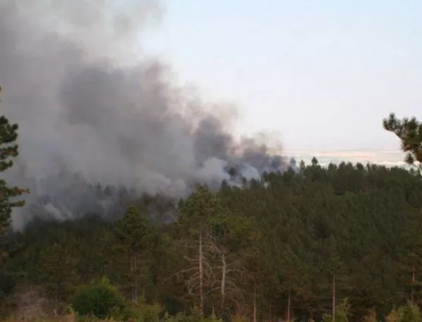 Пожарът край Свиленград е засегнал общо 4 хил. декара