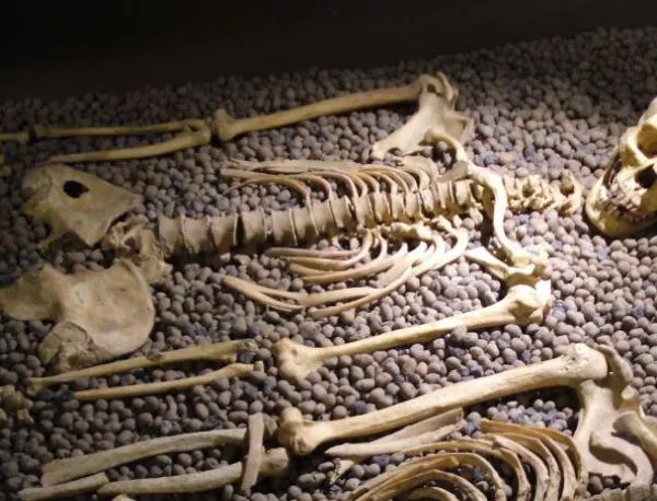 15 скелета откриха в частен двор в Русия