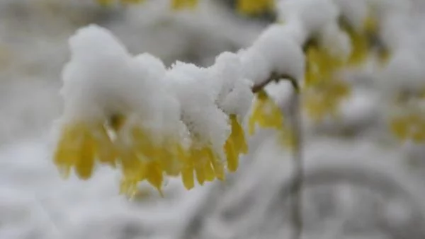 Невиждан студ и доведе до извънредно положение в Перу