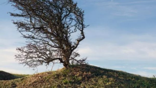 Жълт код заради силен вятър е обявен за 16 области в страната