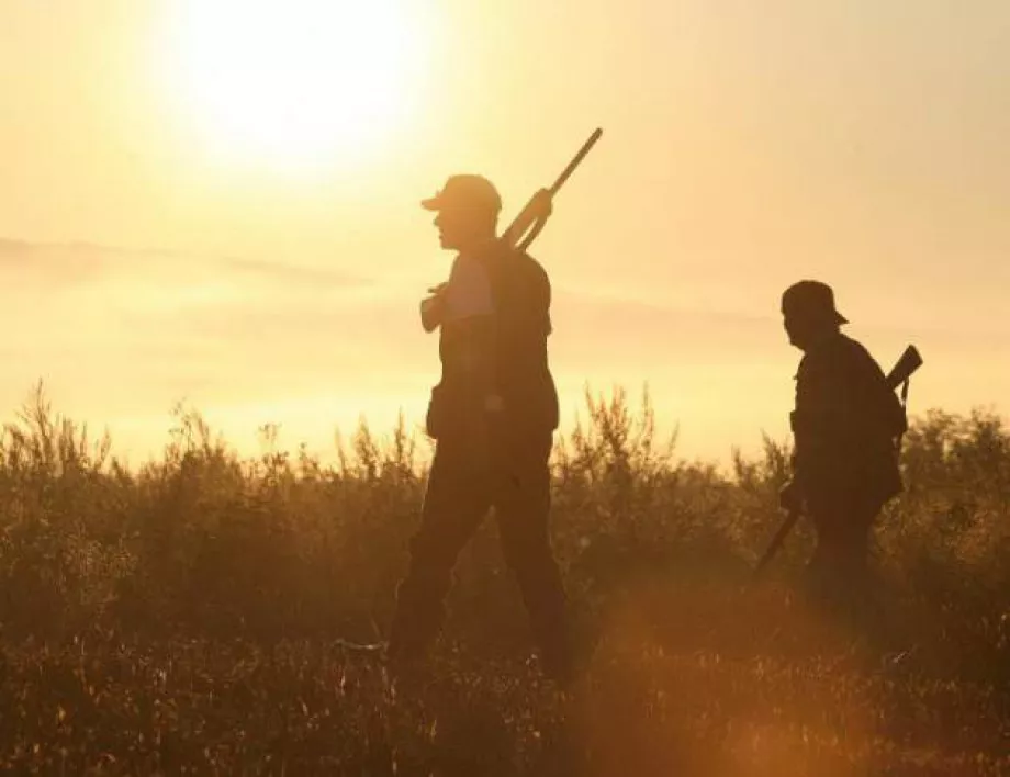Държавата призова ловците да спазват мерките за биосигурност заради африканската чума