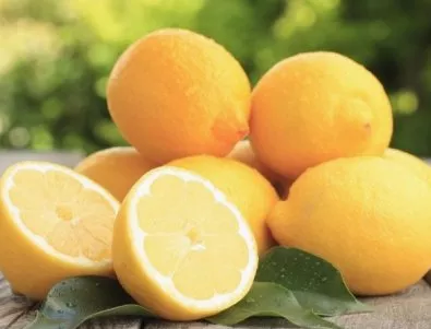 В Пазарджик цената на лимоните стигна 6 лв.