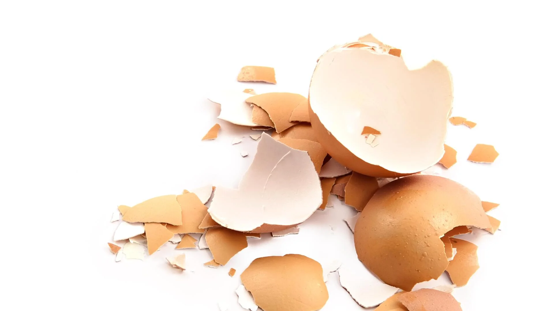 Разберете защо яйчените черупки са подходящи за компост