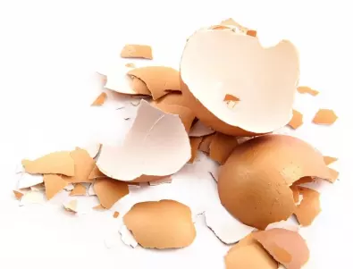 Разберете защо яйчените черупки са подходящи за компост