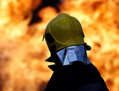 Пожар избухна в зеленчуковата борса край Петрич