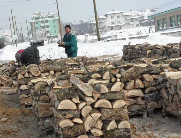 В Сливен хора с увреждения ще могат да си закупят дърва за огрев на преференциални цени