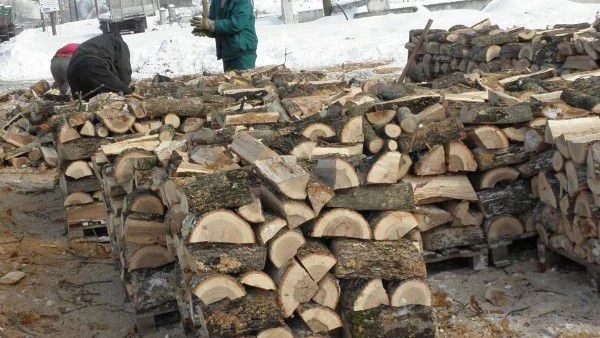 В Сливен хора с увреждения ще могат да си закупят дърва за огрев на преференциални цени