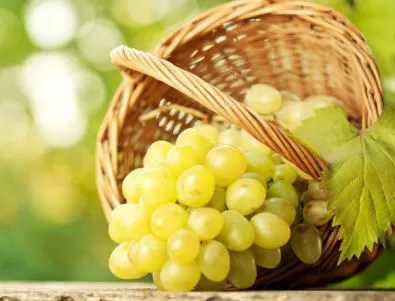 Винарските предприятия ще преработят минимум 250 хил. тона грозде