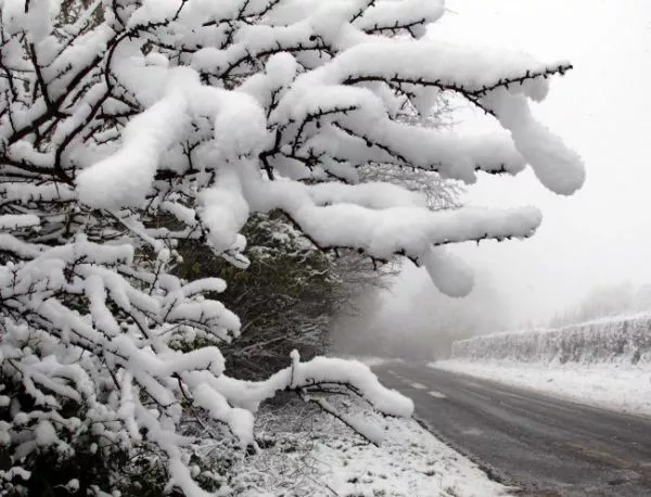 Сняг затрупва България утре