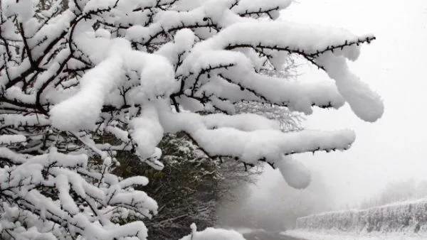 Сняг затрупва България утре