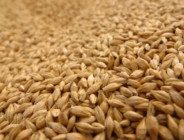 Румъния ще изнася българската пшеница