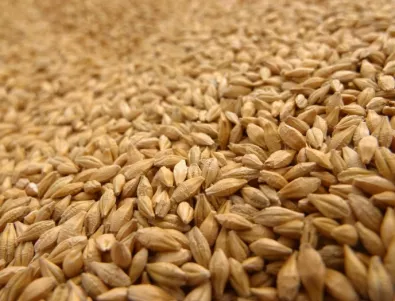 Срив в цените на зърното