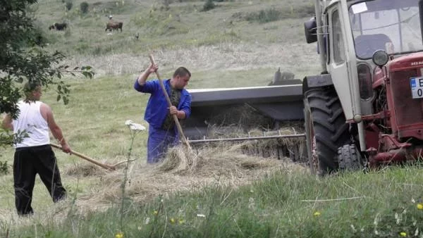 Буря в чаша вода