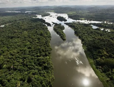 В Амазонската джунгла откриха над 150 вида непознати животни 