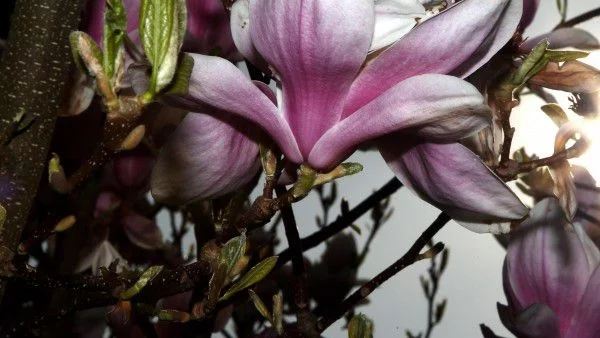 На отделни места в Южна България ще превали слаб дъжд