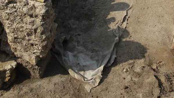 Древните европейци са яли кучета, котки и язовци 