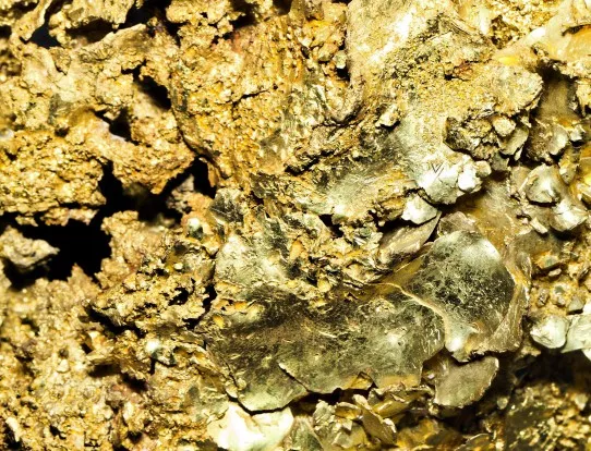 Природозащитници се оплакват от натиск да бъде открита златна мина в Трън