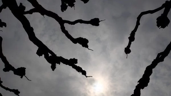 Остава облачно и дъждовно