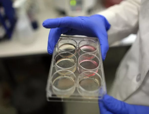 Експериментално лекарство срещу ебола е изпратено в Африка