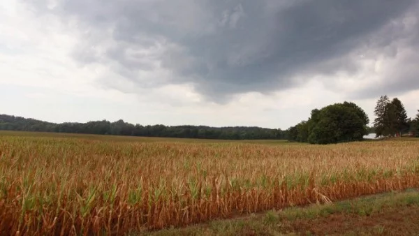 Румъния либерализира продажбата на земя на чужденци 