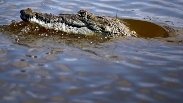 На Крит хвърлят кръста в езеро с крокодил 