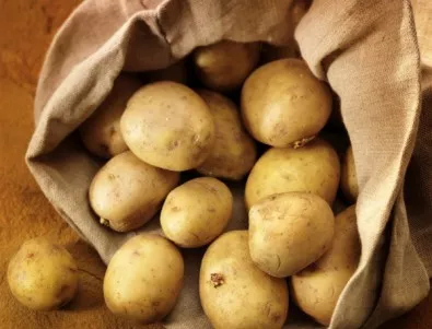 По-малко картофи са били засети тази година в смолянско