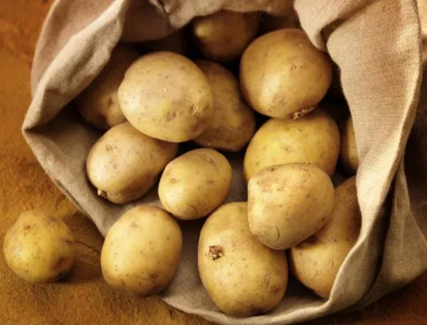 ГМО-ябълките и картофите признати за безопасни в САЩ 