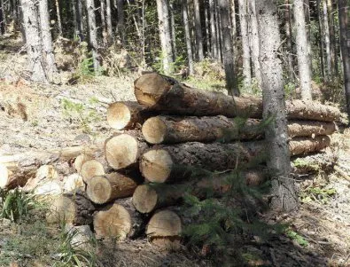 Задържаха 35 куб. метра незаконни дърва