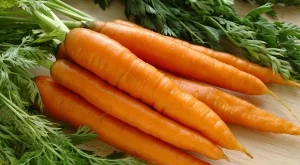Американец отгледа най-големия морков в света (Снимки, видео)