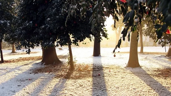 Прогноза за времето - 10 януари (вторник)