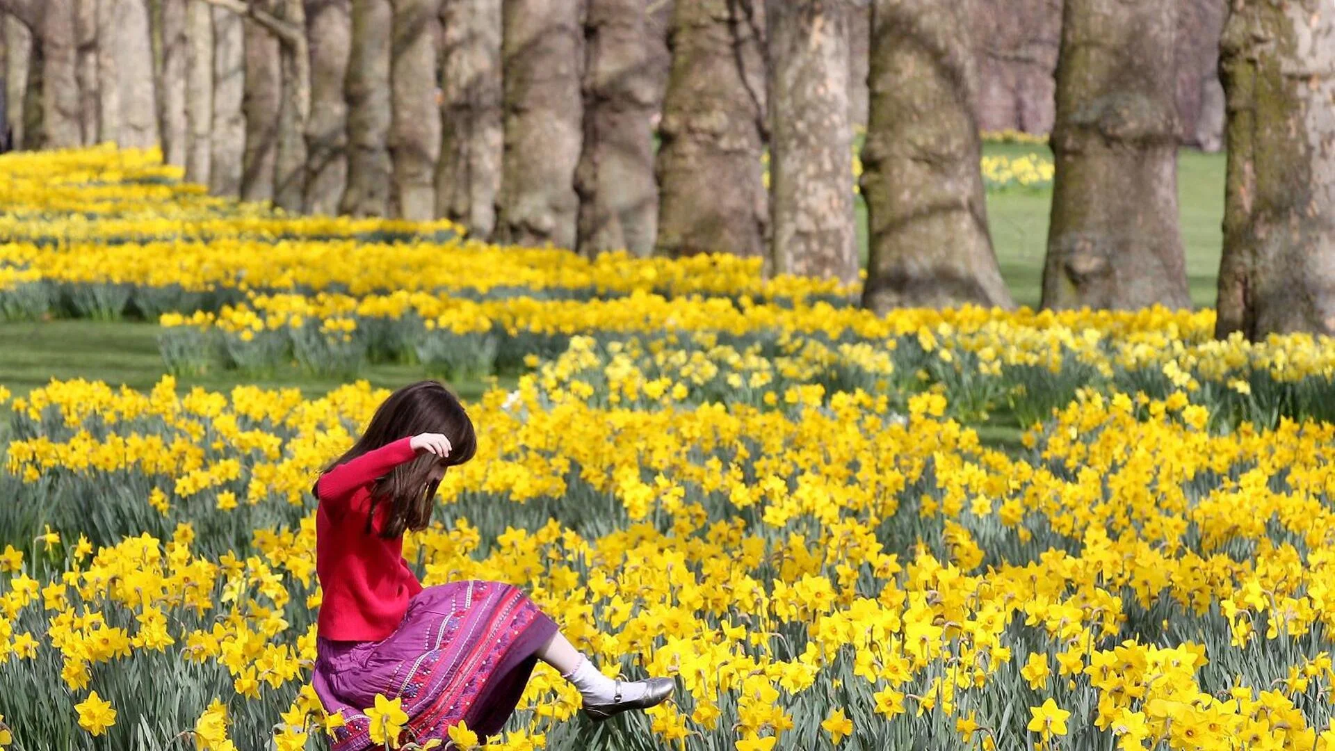 Прогноза за времето - 10 май 2024 г. (петък)