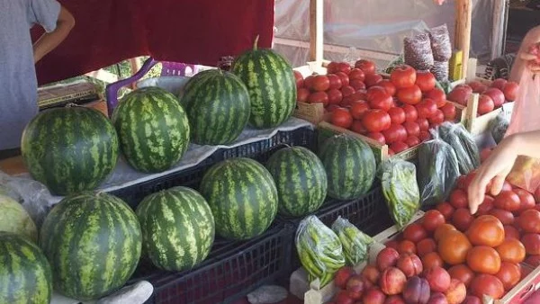 Зеленчукопроизводители дебнат за некачествена стока от чужбина