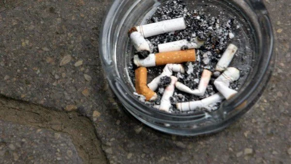 Здравни експерти се загрижиха за вредните храни, но не искат забрана на цигарите