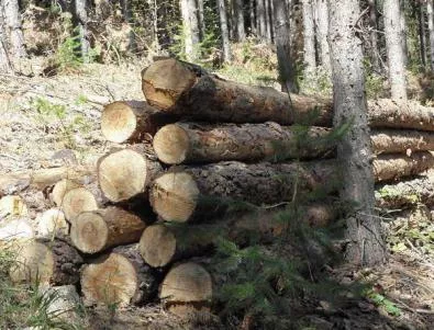 117 000 домакинства са се снабдили с дърва за огрев