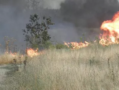 150 дка треви и храсти изгоряха край Гоце Делчев