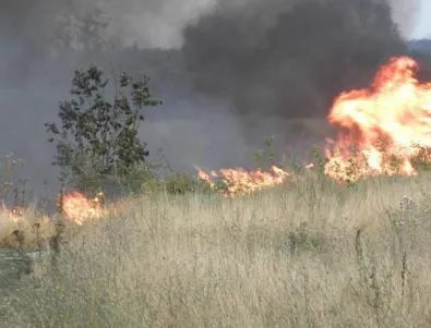 150 души участват в гасенето на пожара край Драгоман, огънят се разраства