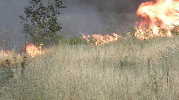 150 души участват в гасенето на пожара край Драгоман, огънят се разраства